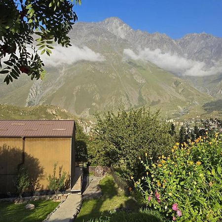 Апартаменты My Space Kazbegi Экстерьер фото